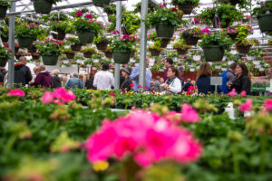 Flowers At Fogler's Greenhouse & Farm Market Open House 2019.