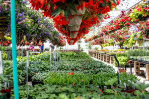 Fogler's Greenhouse & Farm Market Open House 2019.