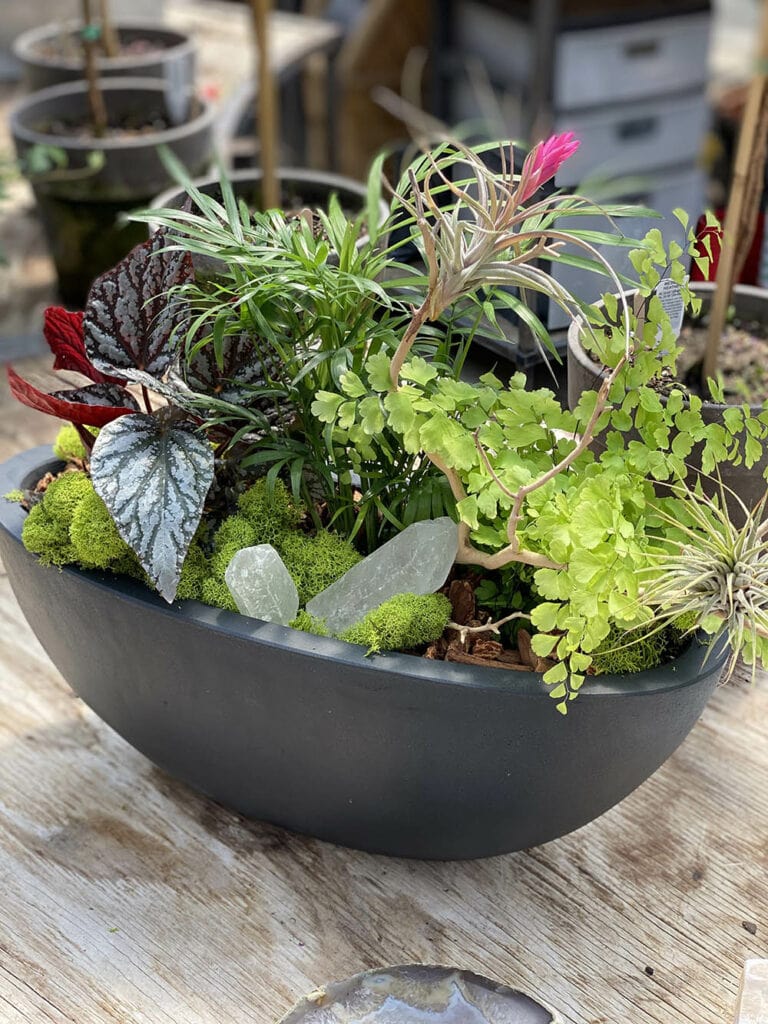 For The Home Fogler's Greenhouse & Farm Market Rochester, MI